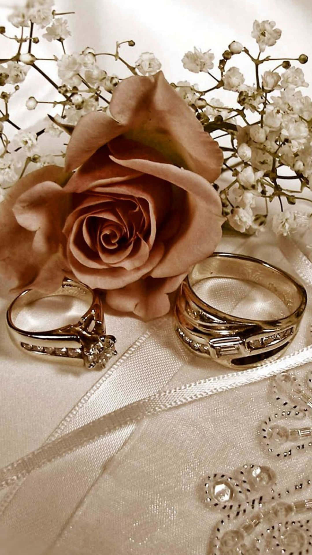 Beige Rose And Wedding Ring Background