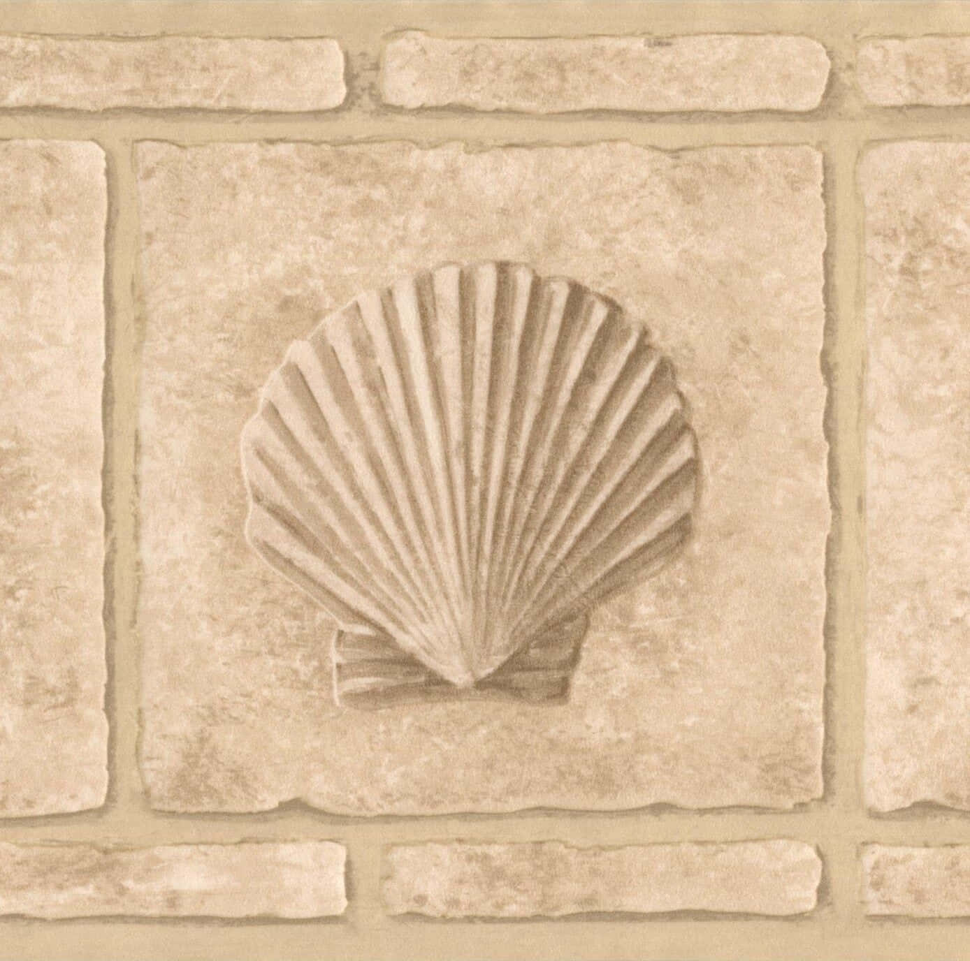 Beige Seashell Wall Decor