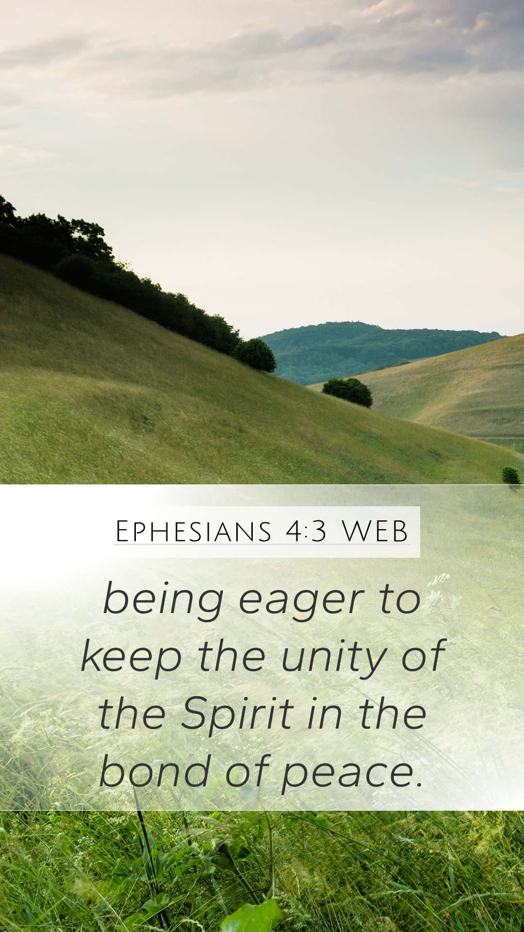 Being Eager Bible Verse Background