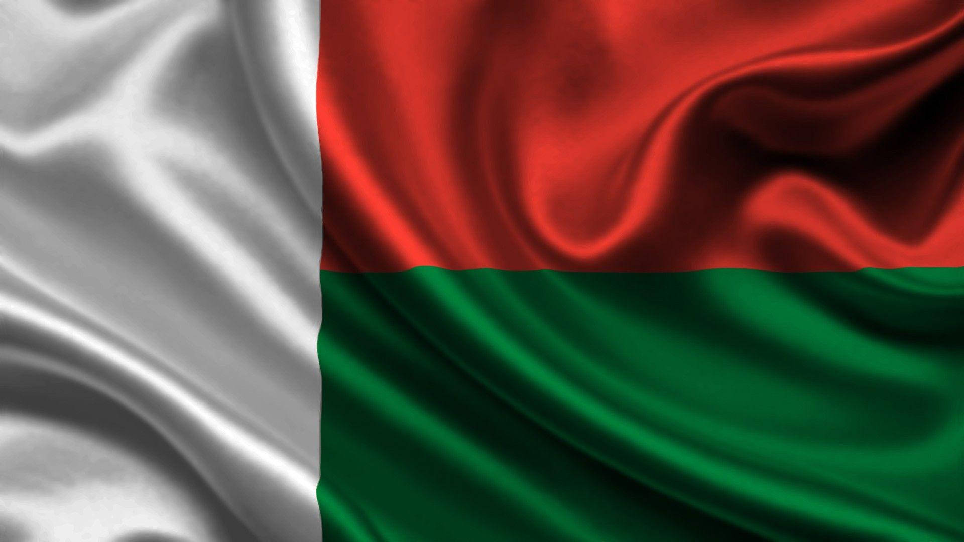 Belarus Flag In High Resolution Background