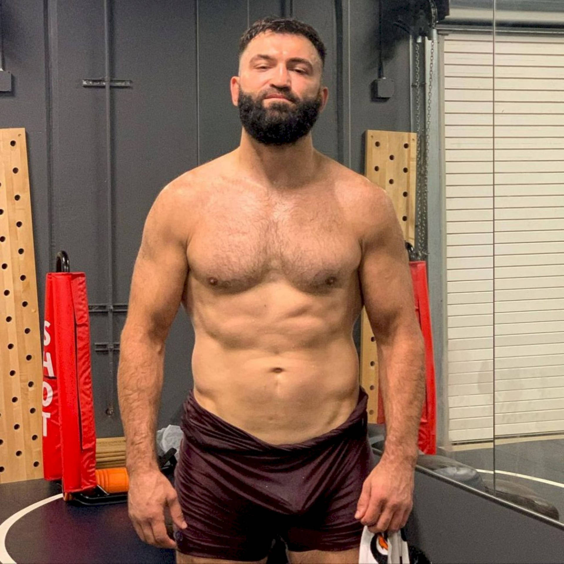 Belarusian-american Actor Andrei Arlovski Background