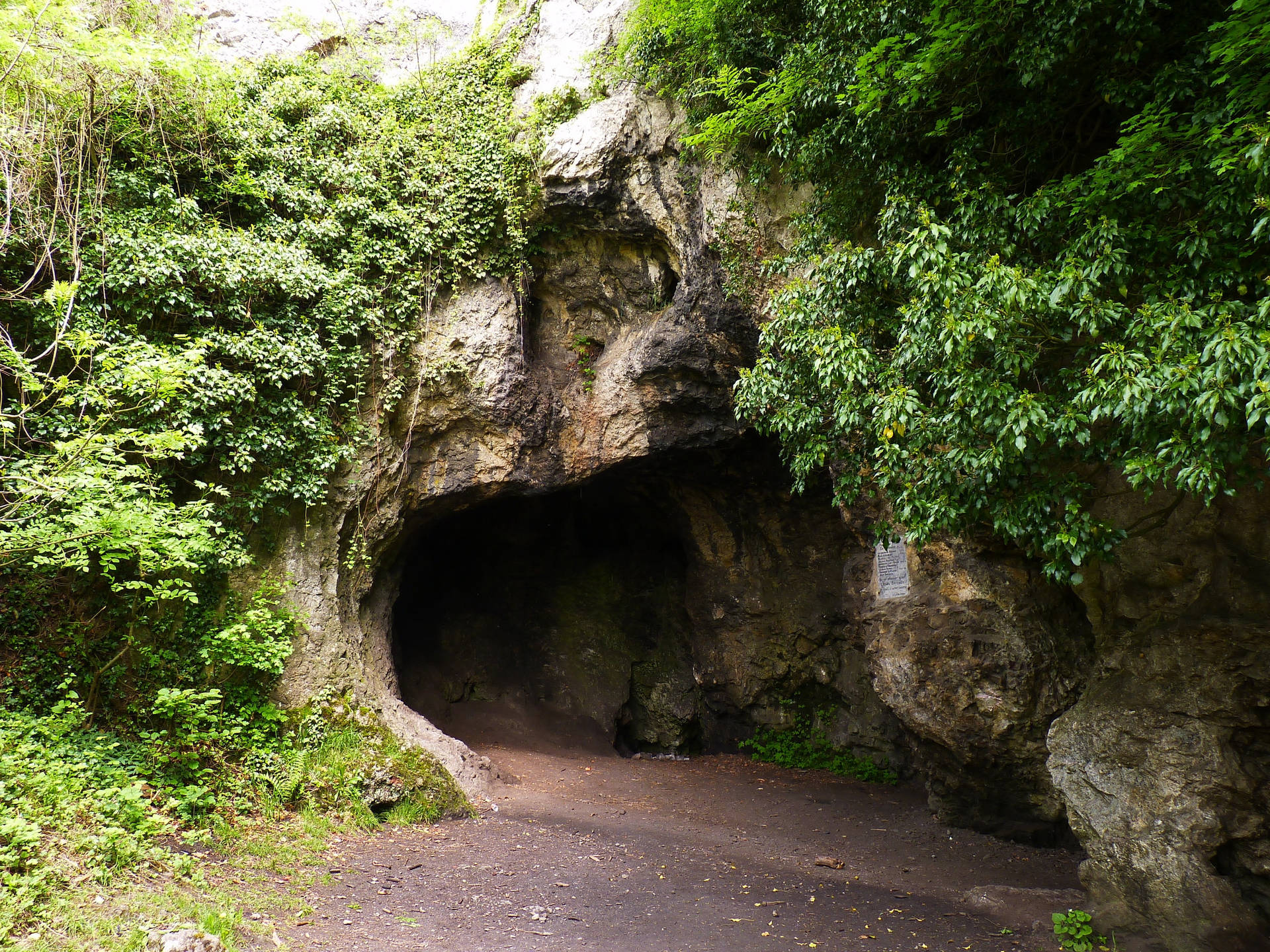 Belgium Spy Cave Background