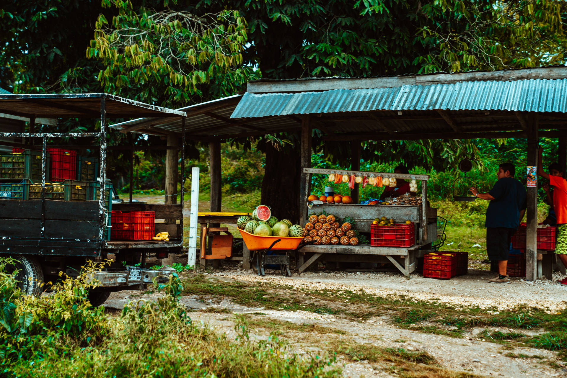 Belize Fruit Stall Background