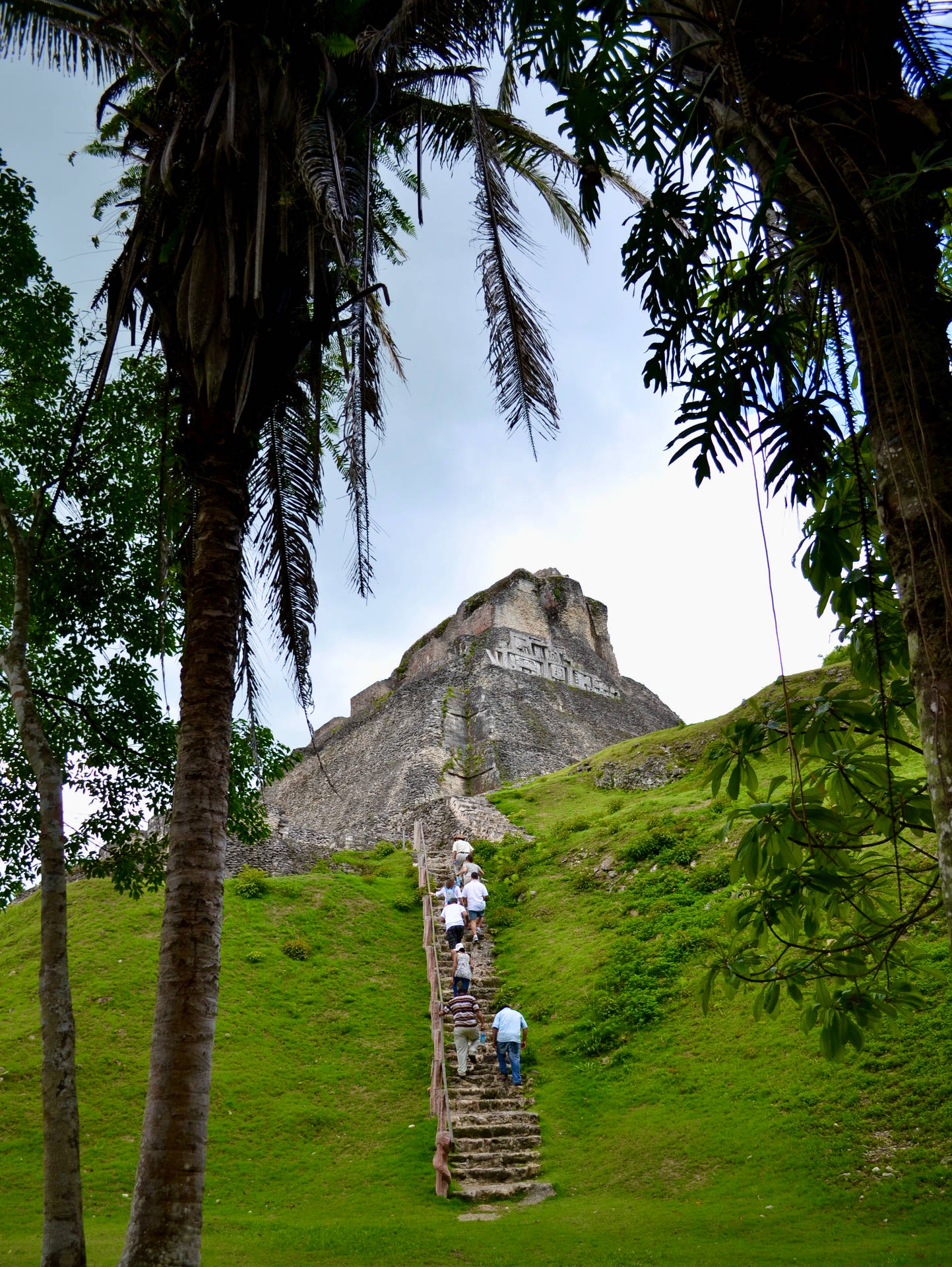 Belize Xunantunich Mayan Ruins Background