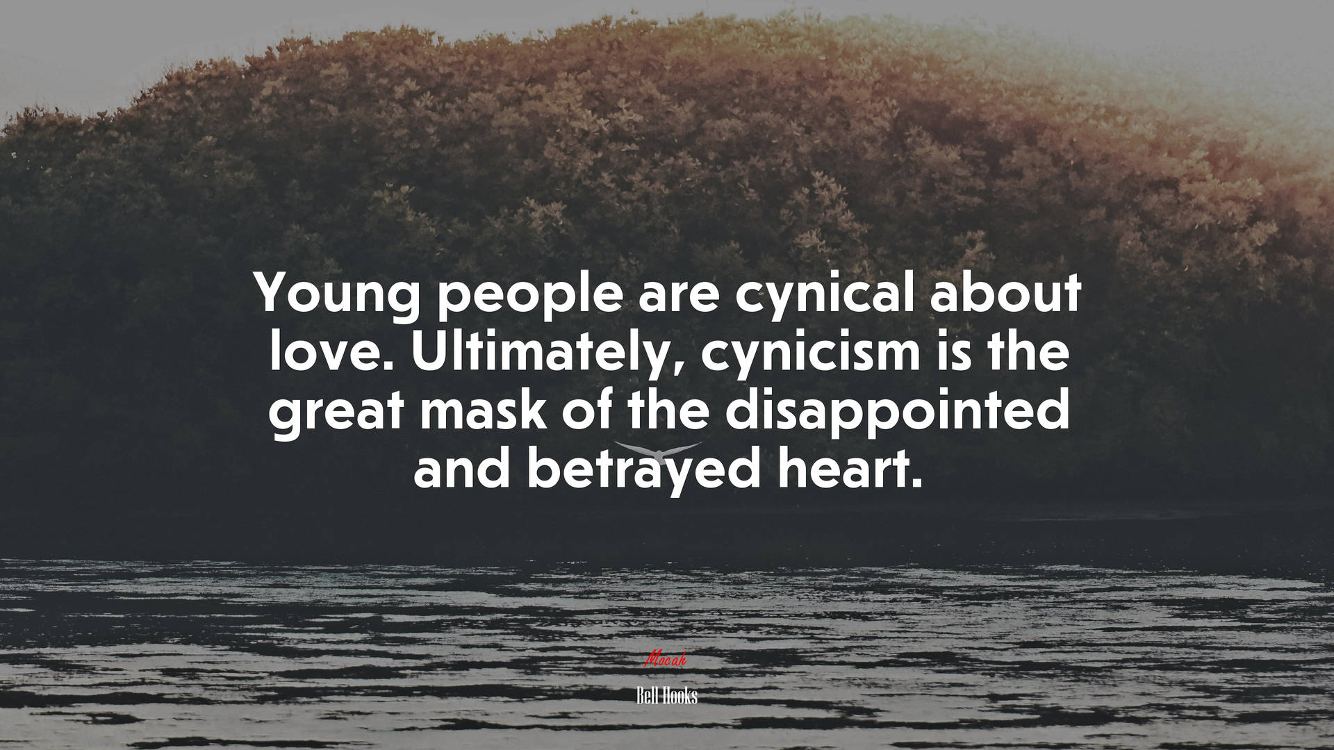 Bell Hooks Cynical Love Background