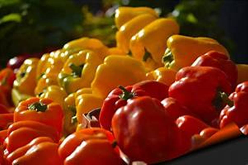 Bell Pepper Fruits Against Blurry Background