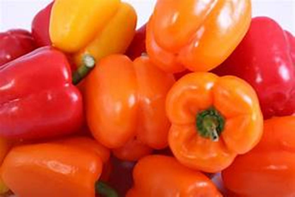 Bell Pepper Fruits White Background