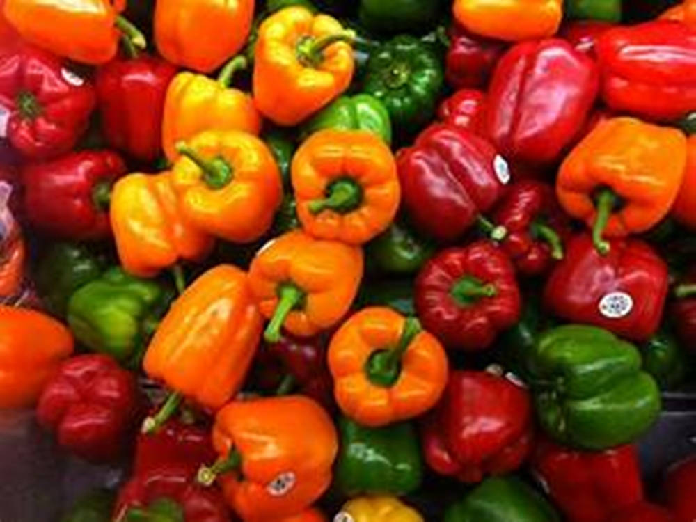 Bell Pepper Fruits With White Stickers