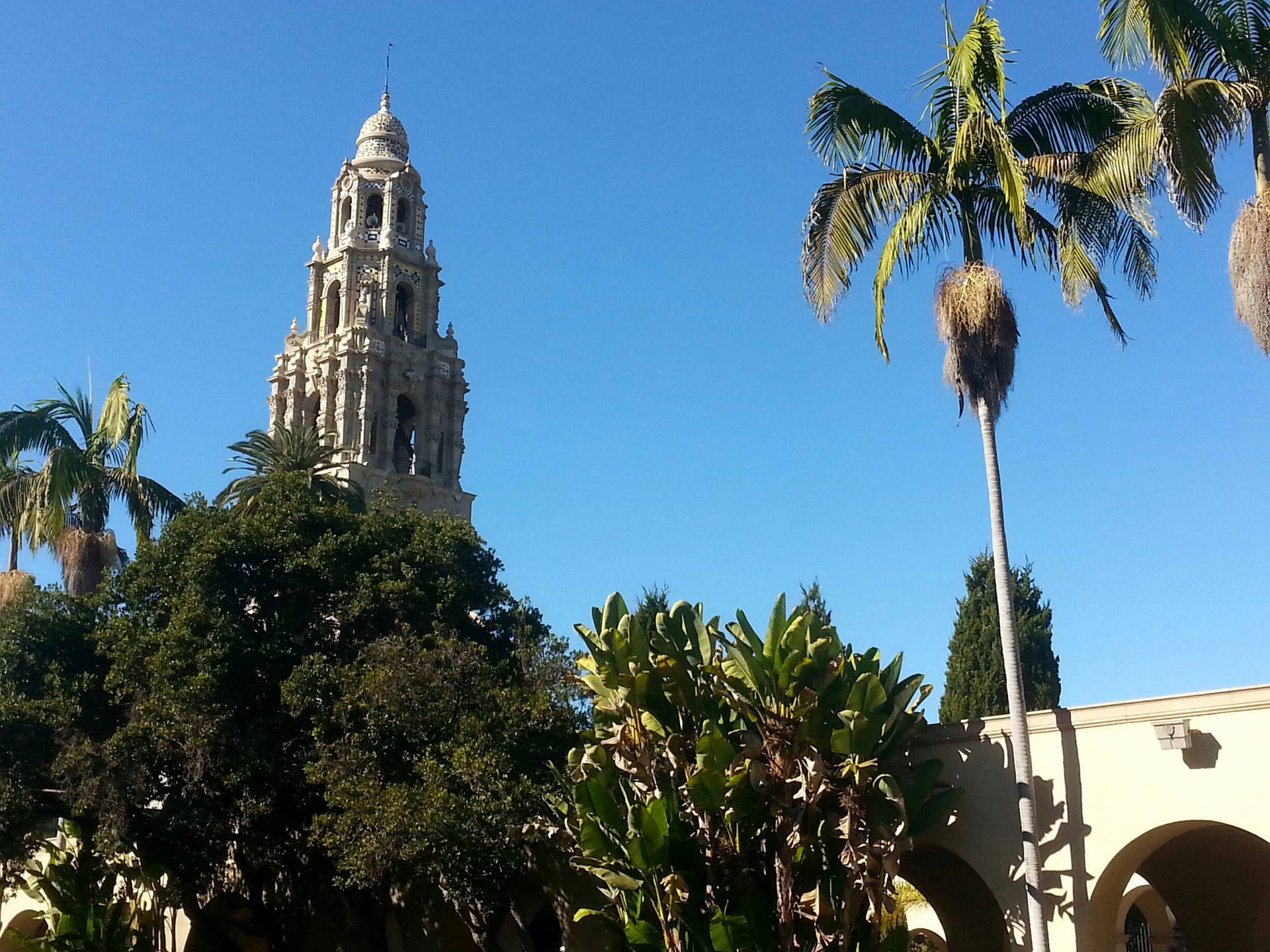 Bell Tower Inside Balboa Park Background