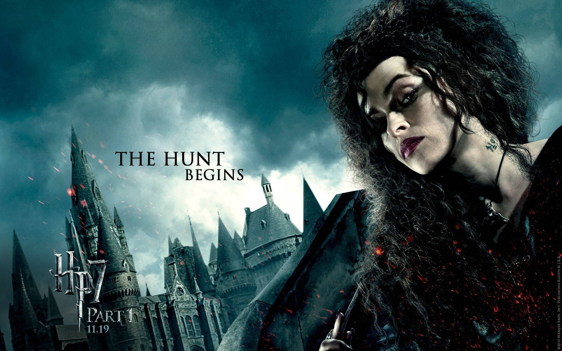 Bellatrix Lestrange The Hunt Begins Background