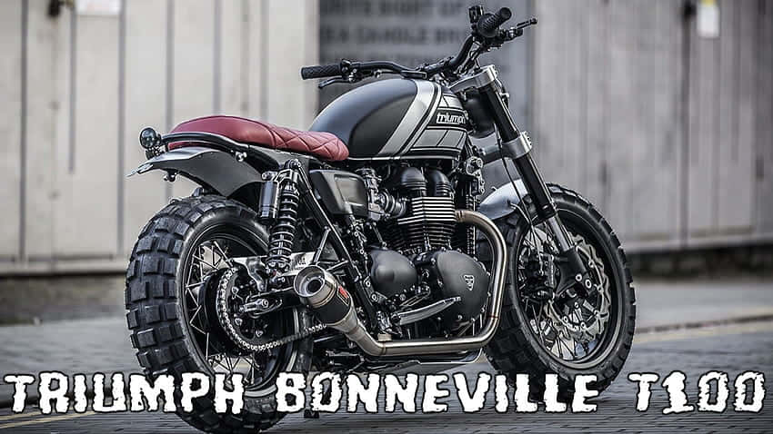 Belligerent Triumph Bonneville T100 Background