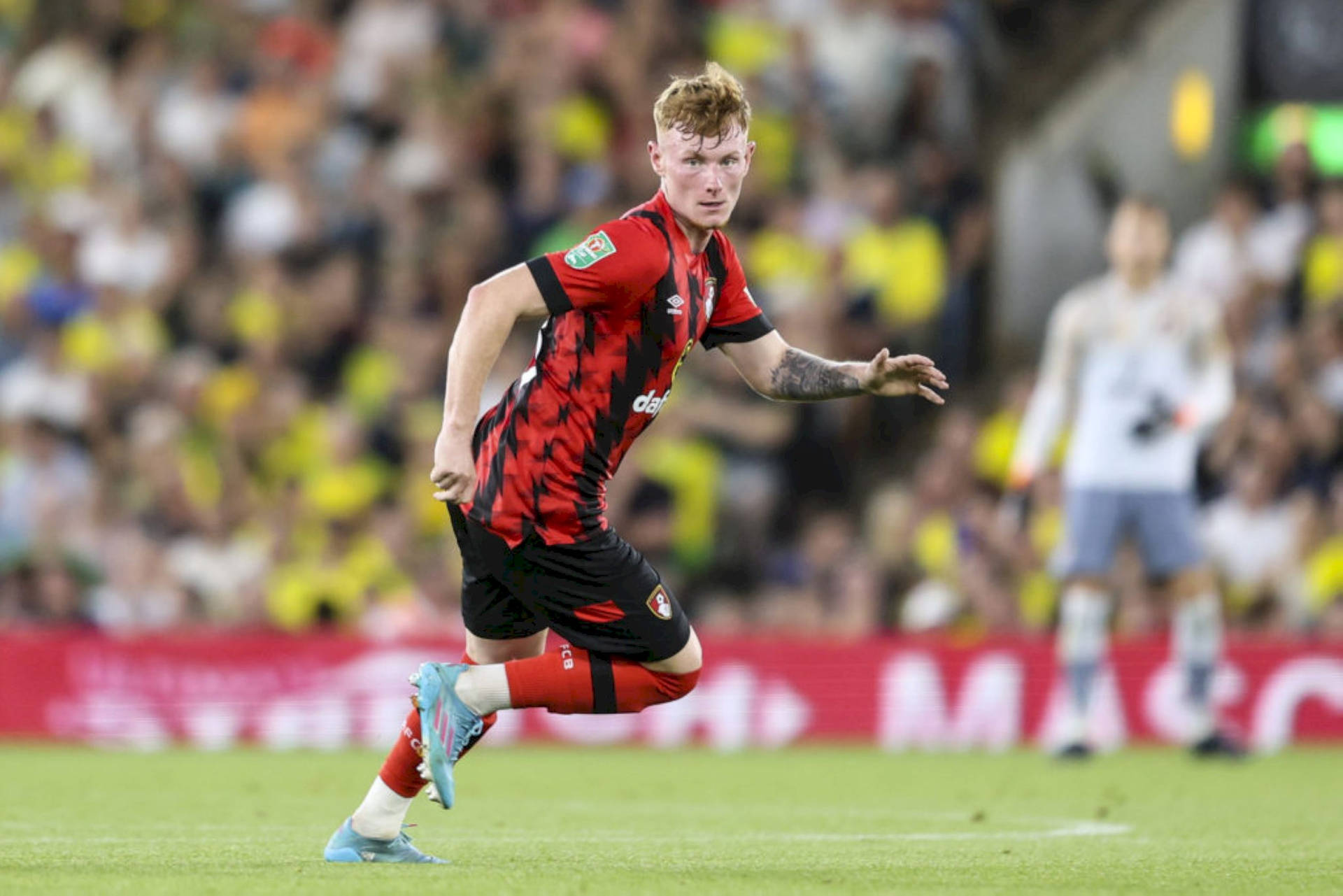 Ben Greenwood For Afc Bournemouth Background