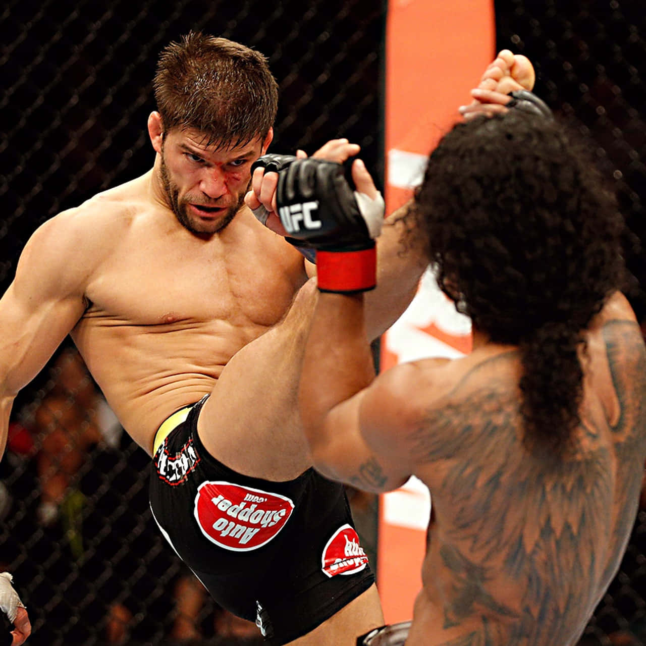 Ben Henderson Getting Kicked By Josh Thomson Background