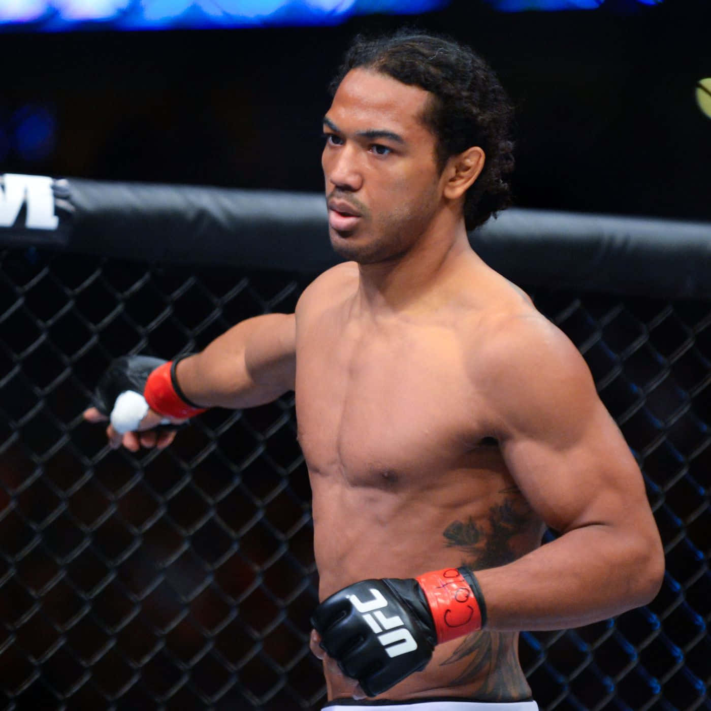 Ben Henderson Showcasing His Skills In Ufc 150 At The Pepsi Center. Background