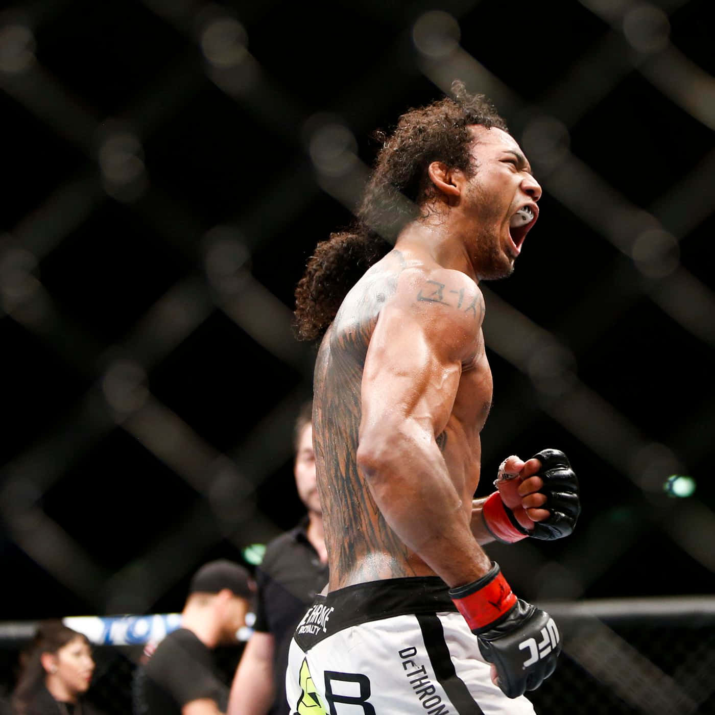 Ben Henderson Ufc Fight Night 60 Background