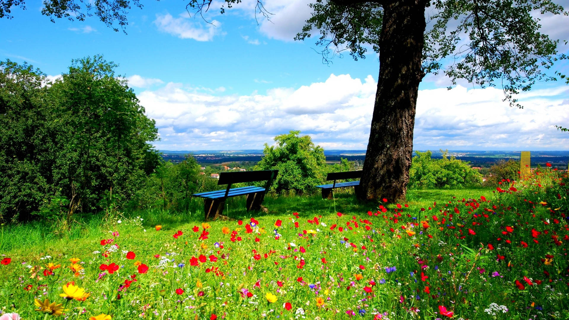 Bench 3d Nature Background