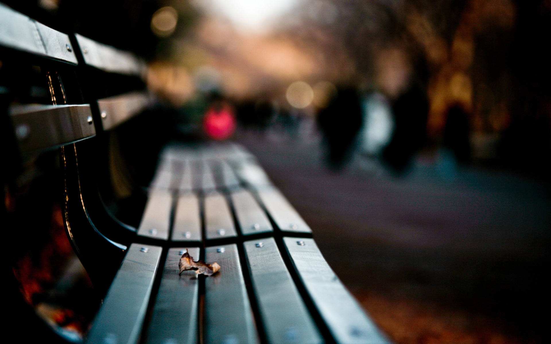 Bench Close Up Background