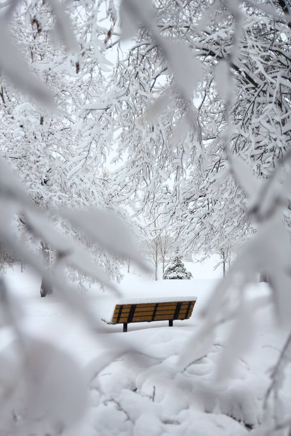 Bench In Snow Winter Iphone Background