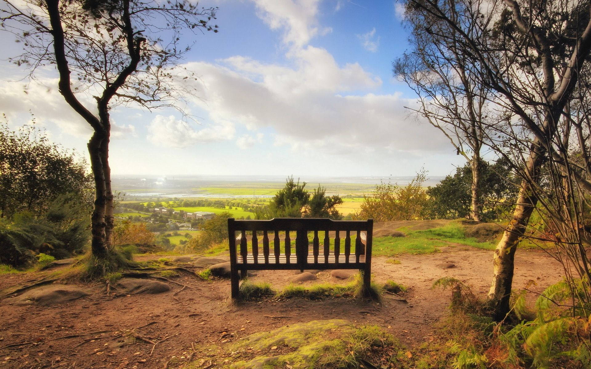 Bench On A Hill