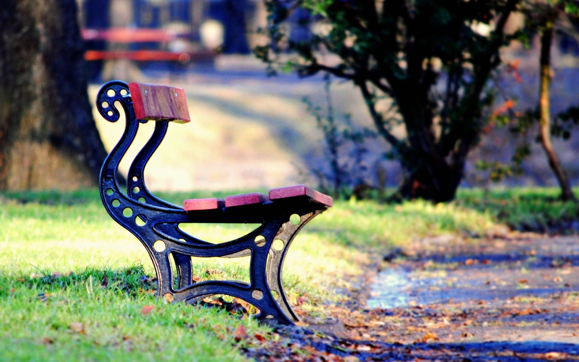 Bench On A Park