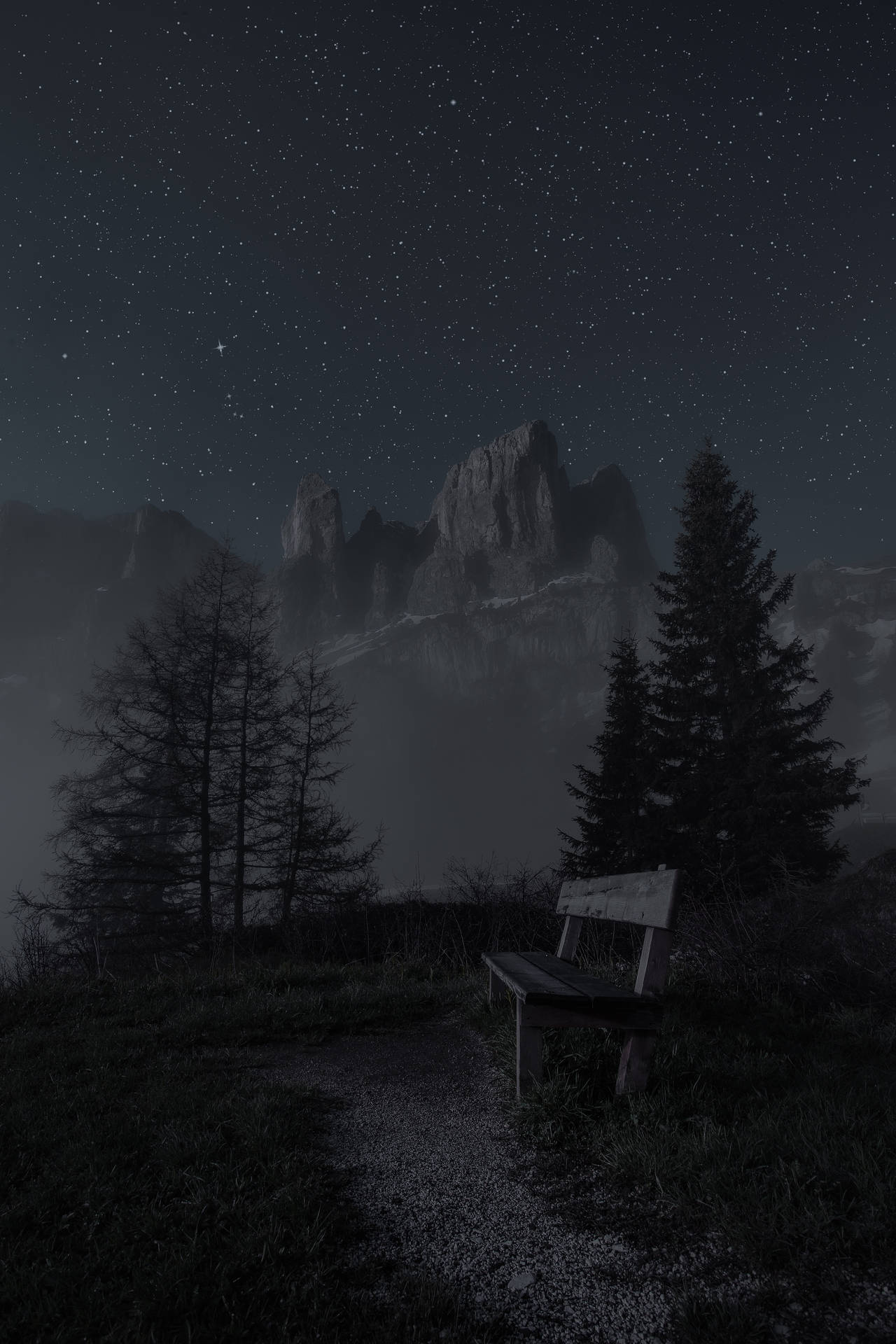 Bench On Dark Night Background