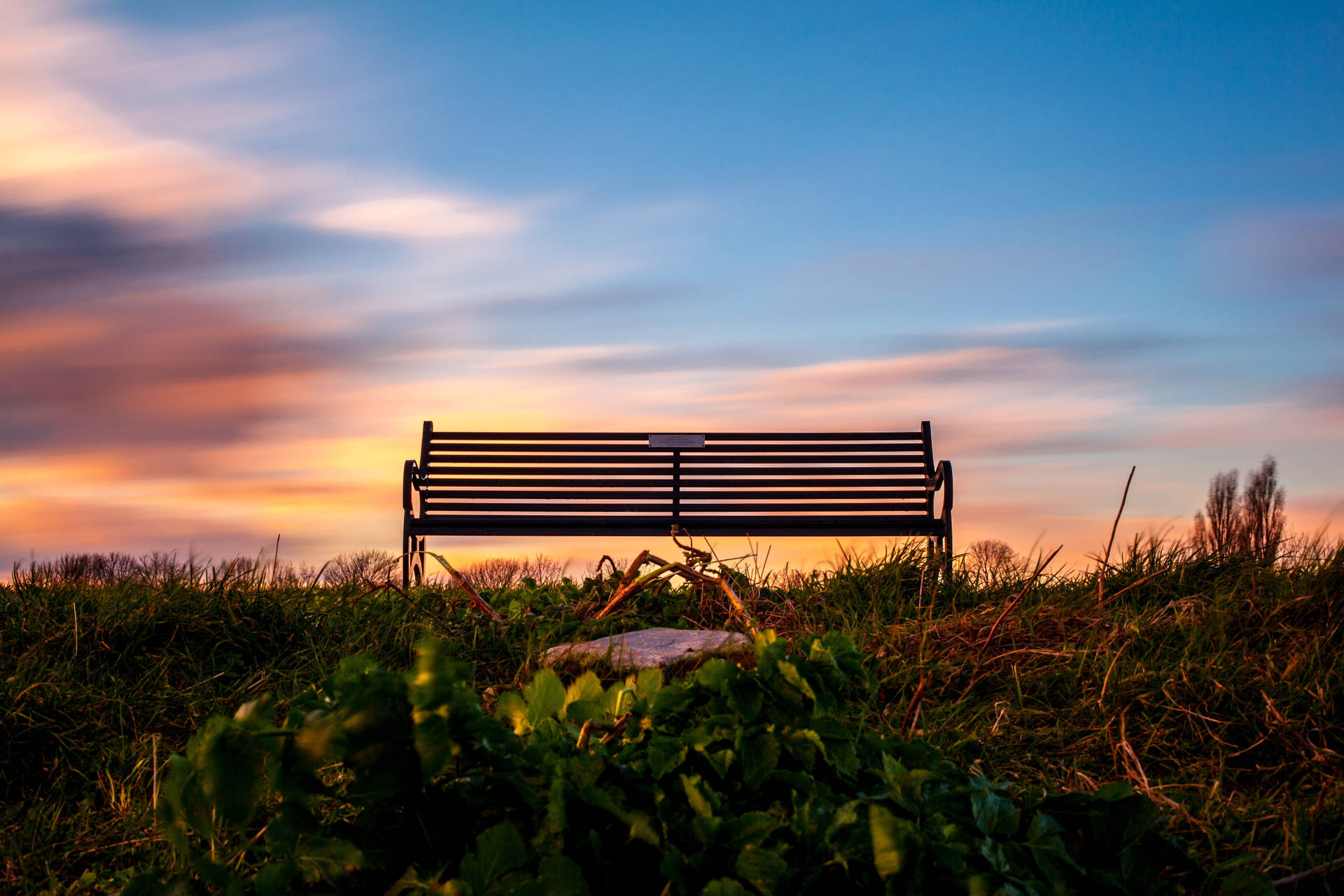 Bench On Meadow Background