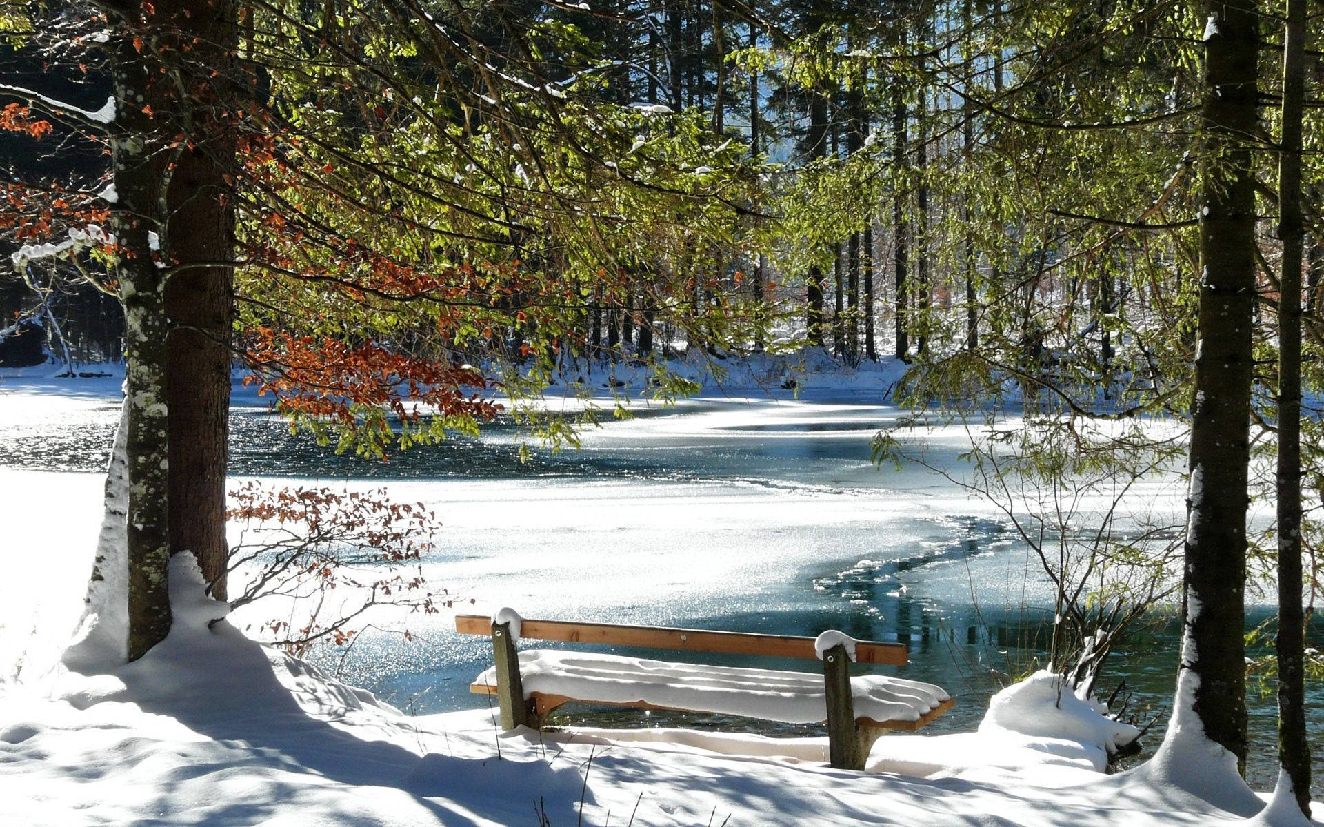 Bench On Snow Lake