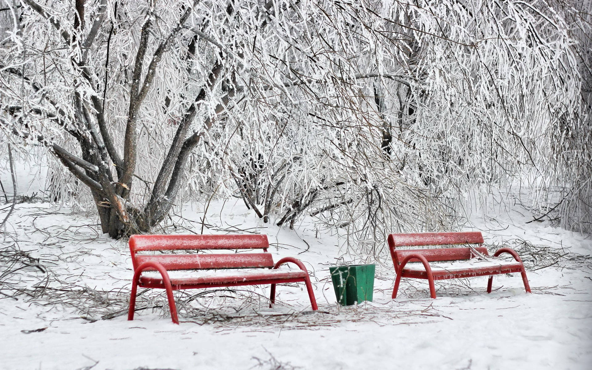 Benches On Snow Background