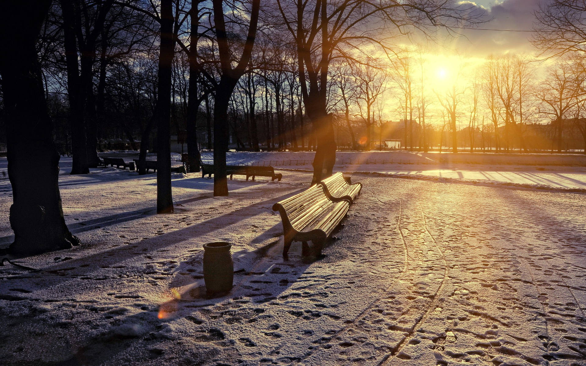 Benches Under Sunlight Background