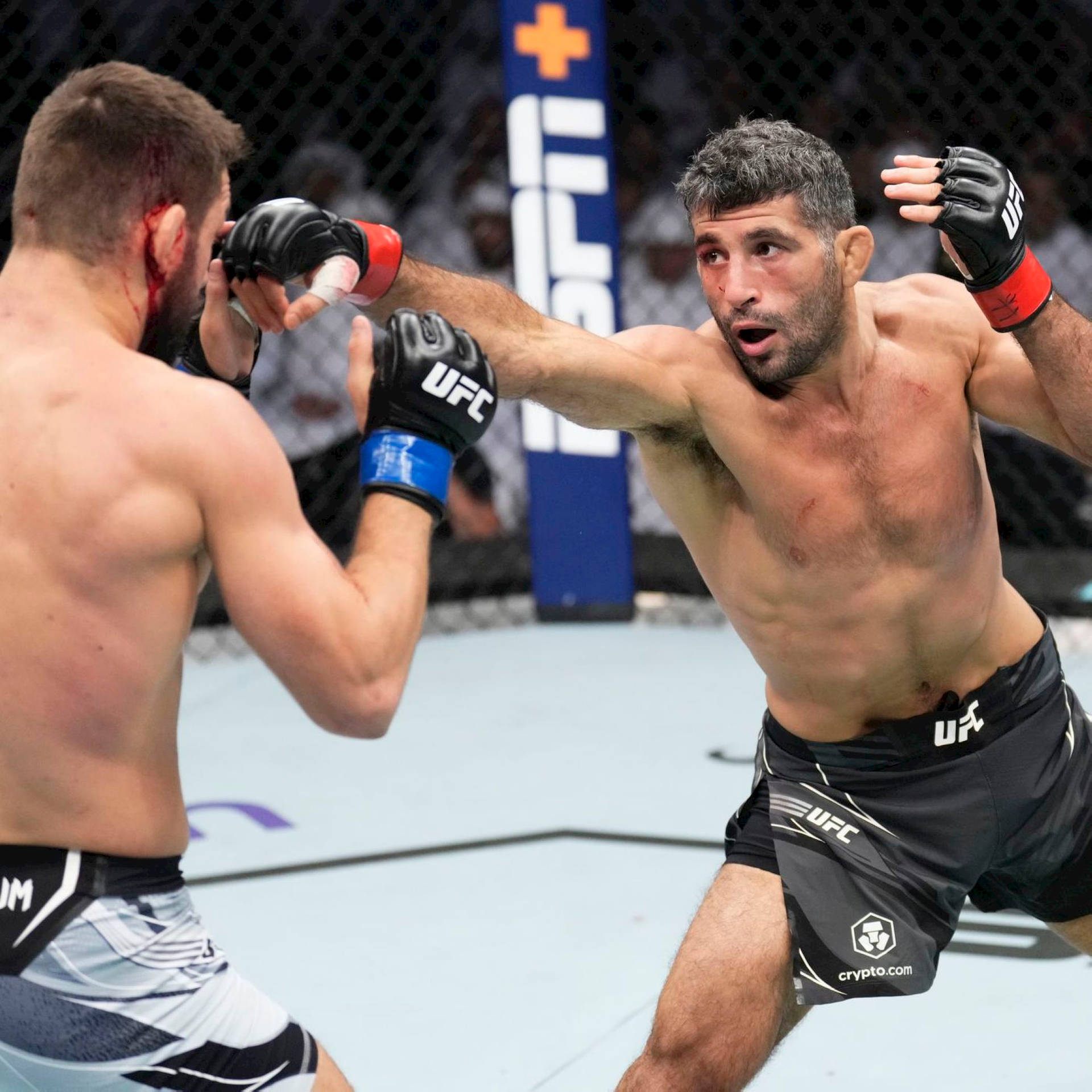 Beneil Dariush Punching Mateusz Gamrot Background