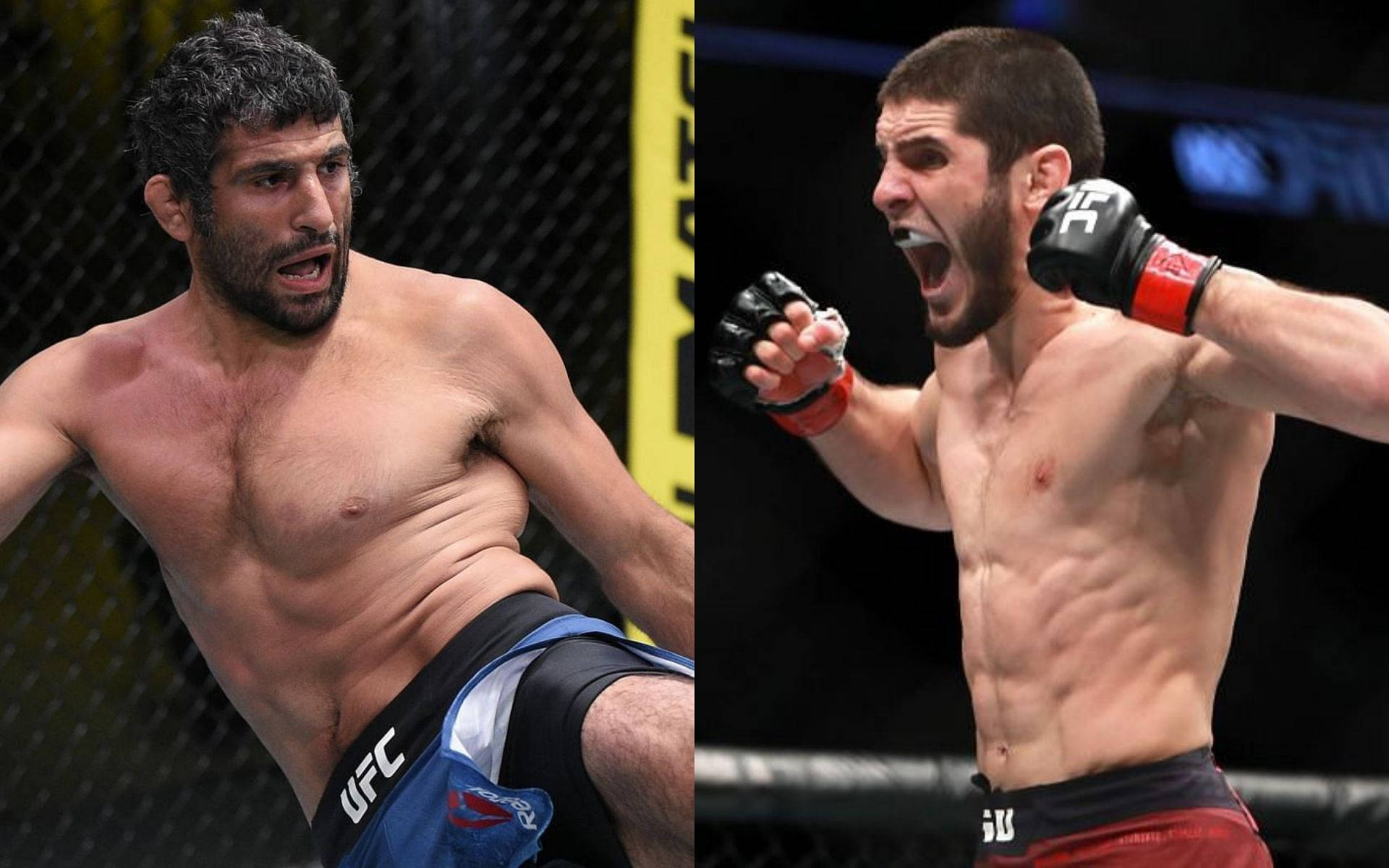 Beneil Dariush Vs Islam Makhachev Background