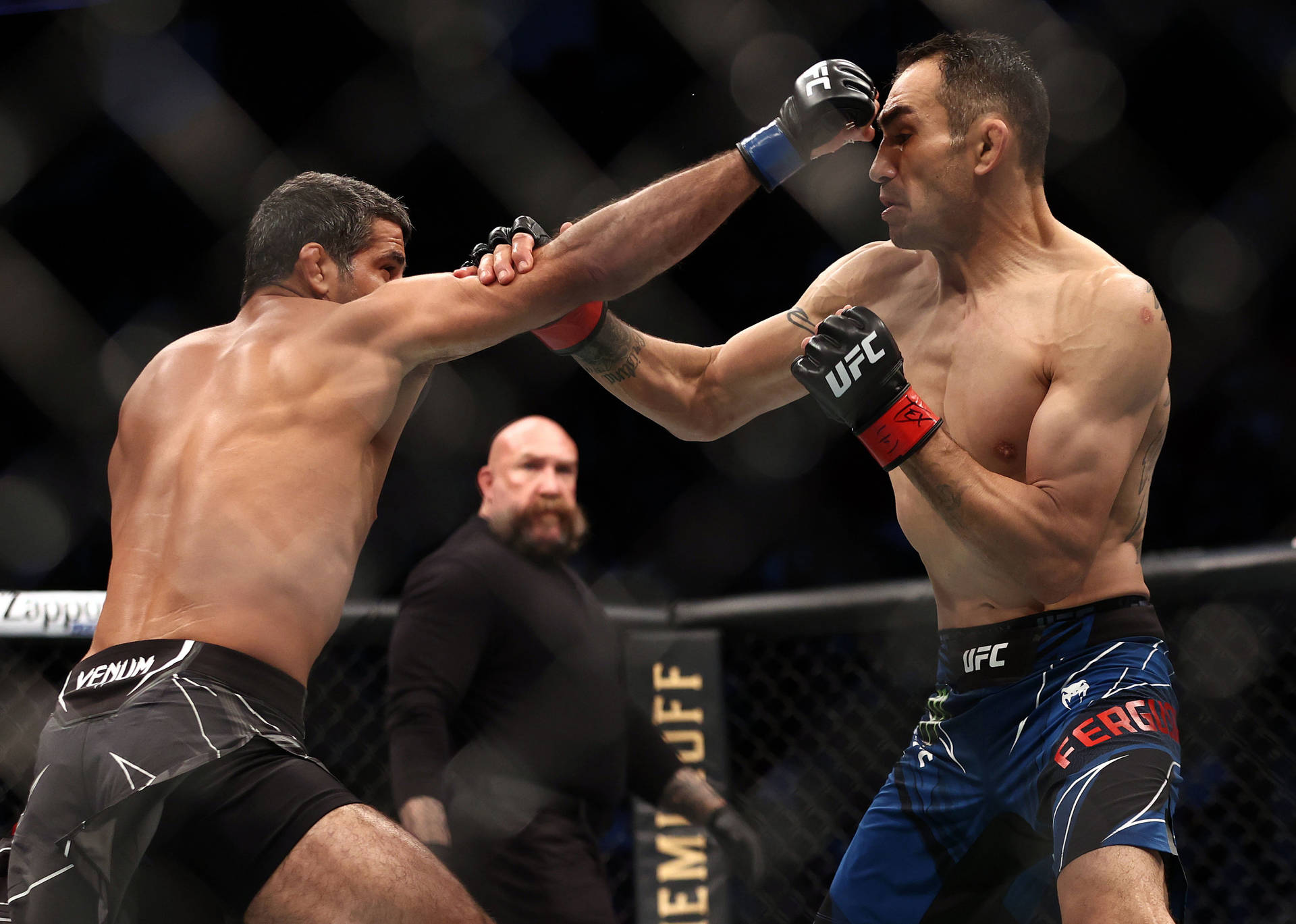 Beneil Dariush Vs Tony Ferguson Background