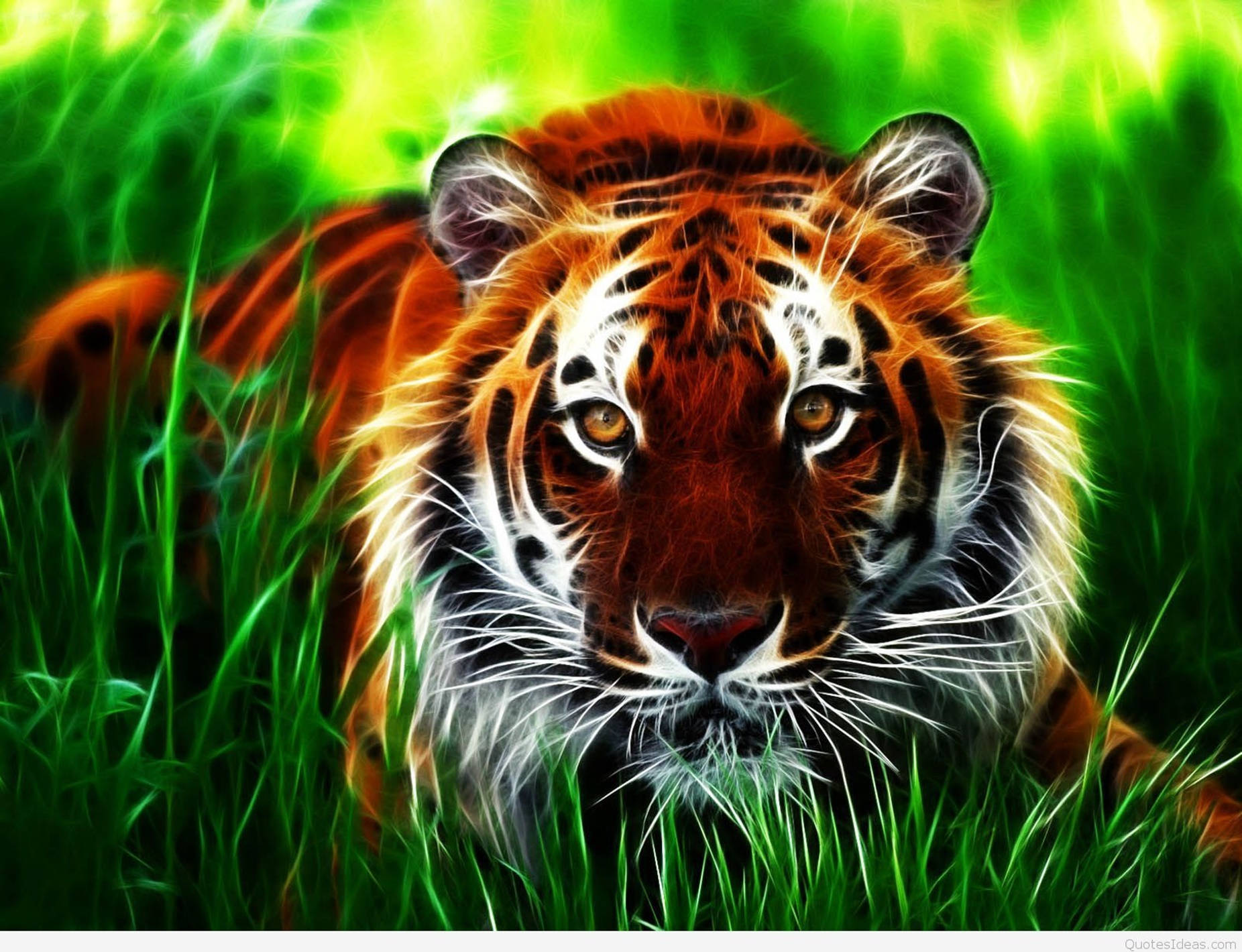 Bengal Tiger 3d Animation Background