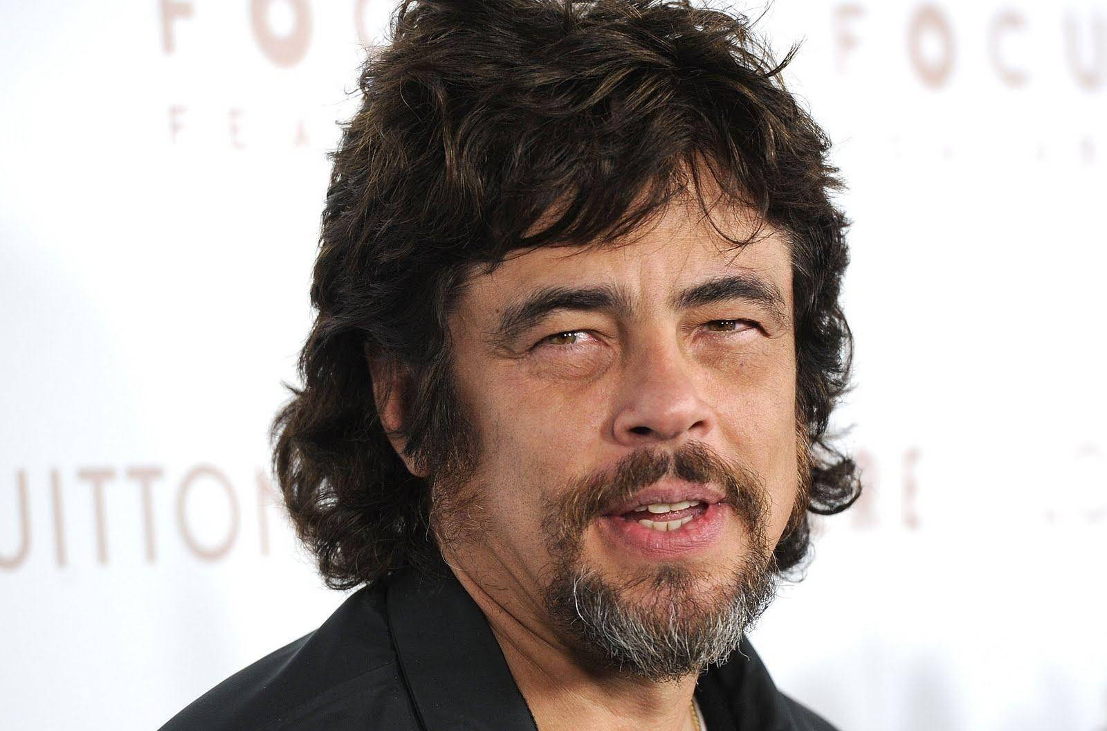 Benicio Del Toro 2010 Somewhere California Premiere Background