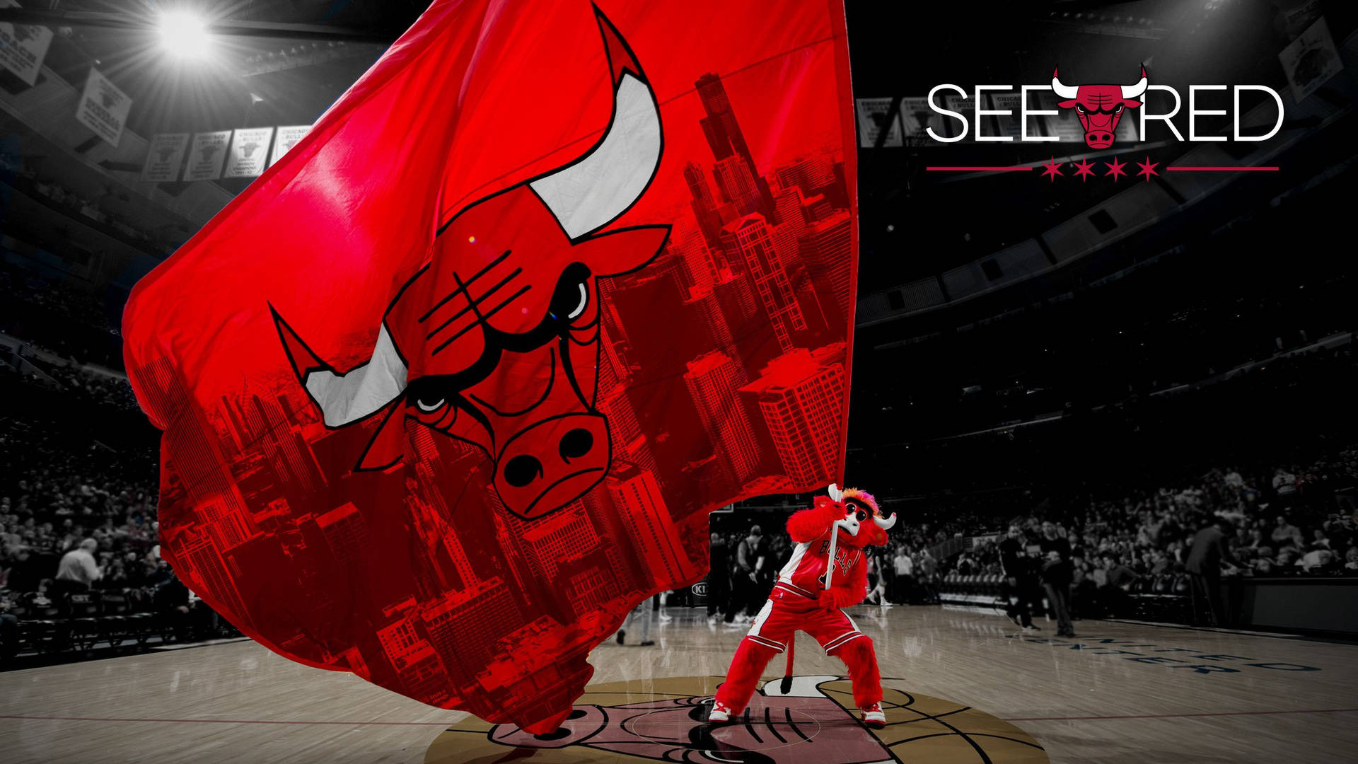 Benny The Bull, Passionate Mascot Of Chicago Bulls Background