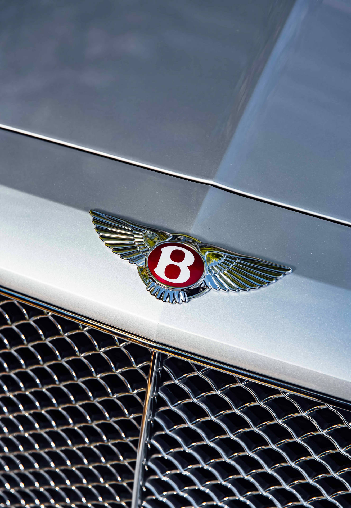 Bentley Cars Emblem On Silver Background