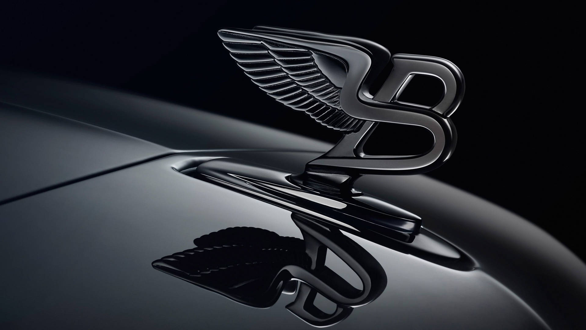 Bentley Flying B Logo Background