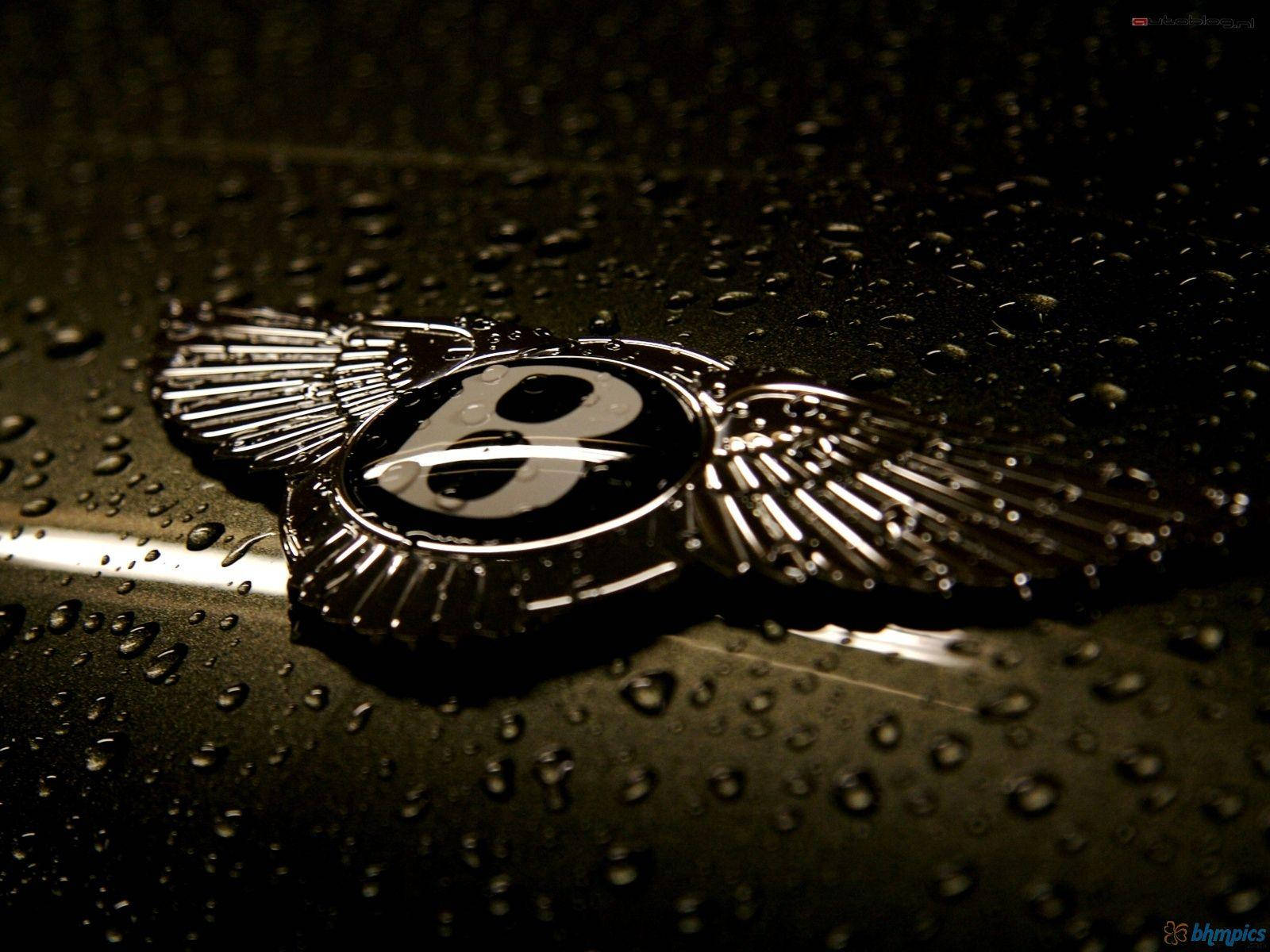 Bentley Logo Minimalist Design Background