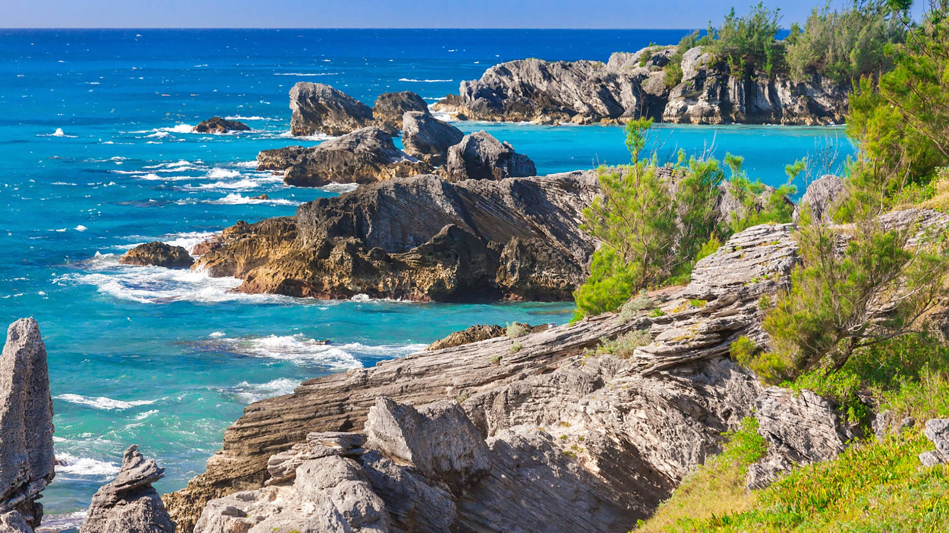 Bermuda Rocky Shore Background