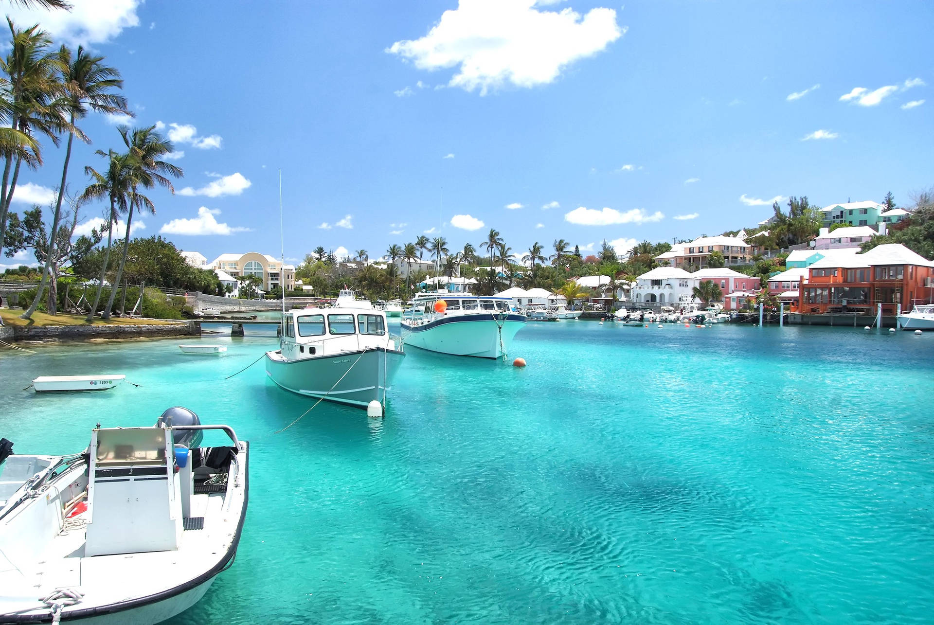 Bermuda Yacht Background