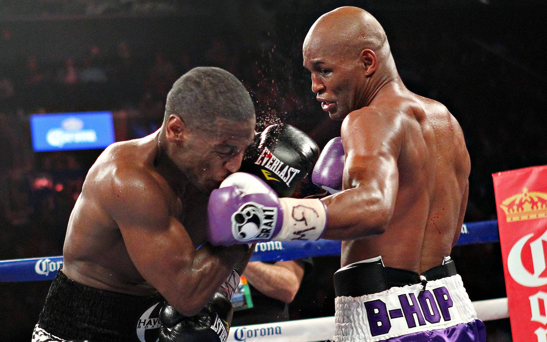 Bernard Hopkins Fighting