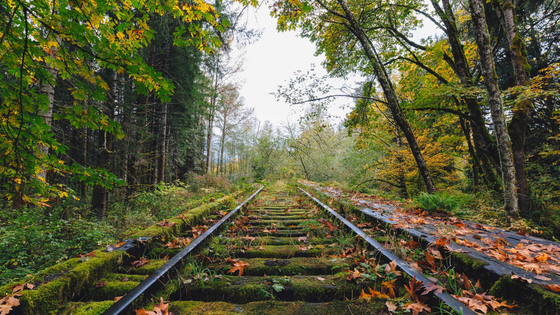 Best 4k Uhd Abandoned Railway