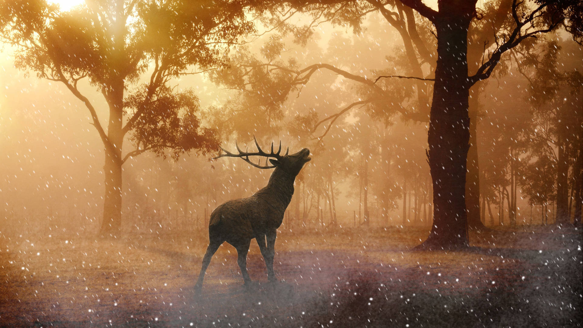 Best 4k Uhd Deer Artwork Background