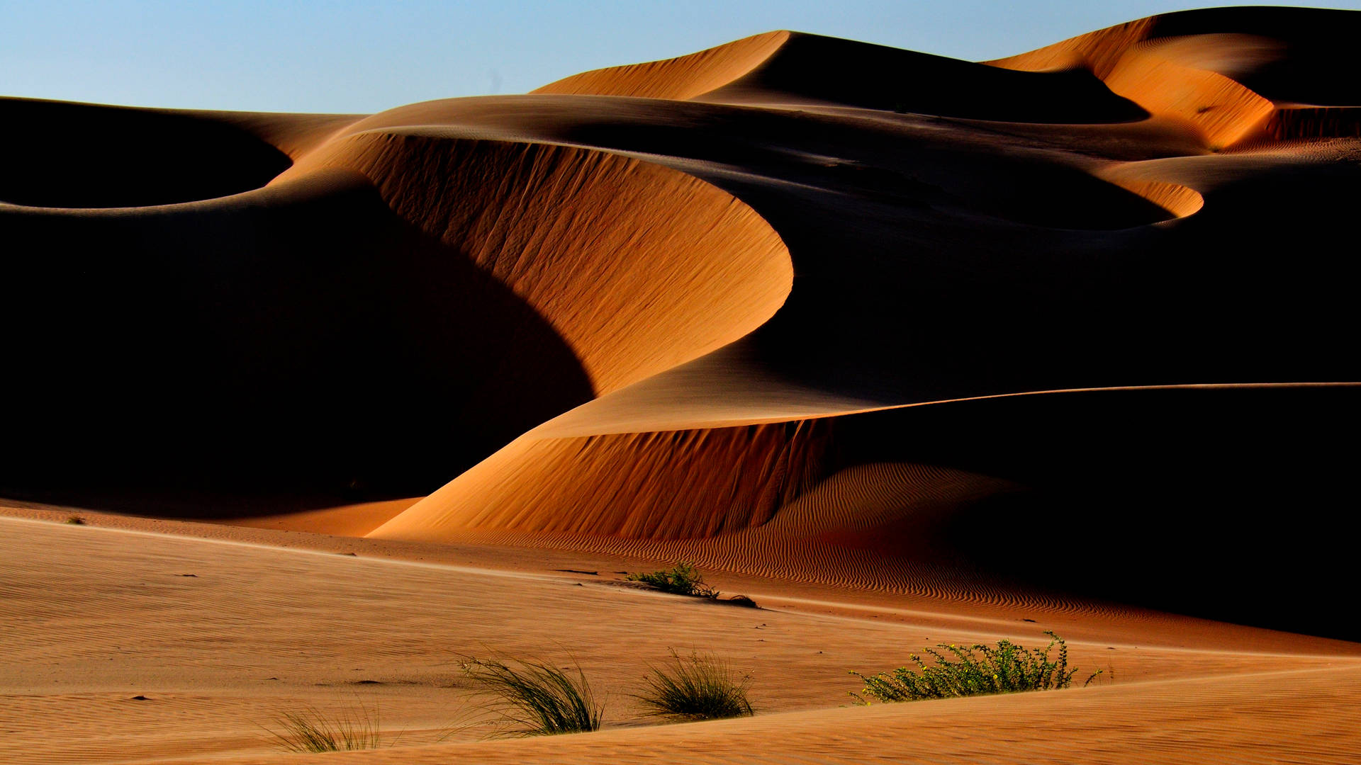 Best 4k Uhd Sand Dunes Background