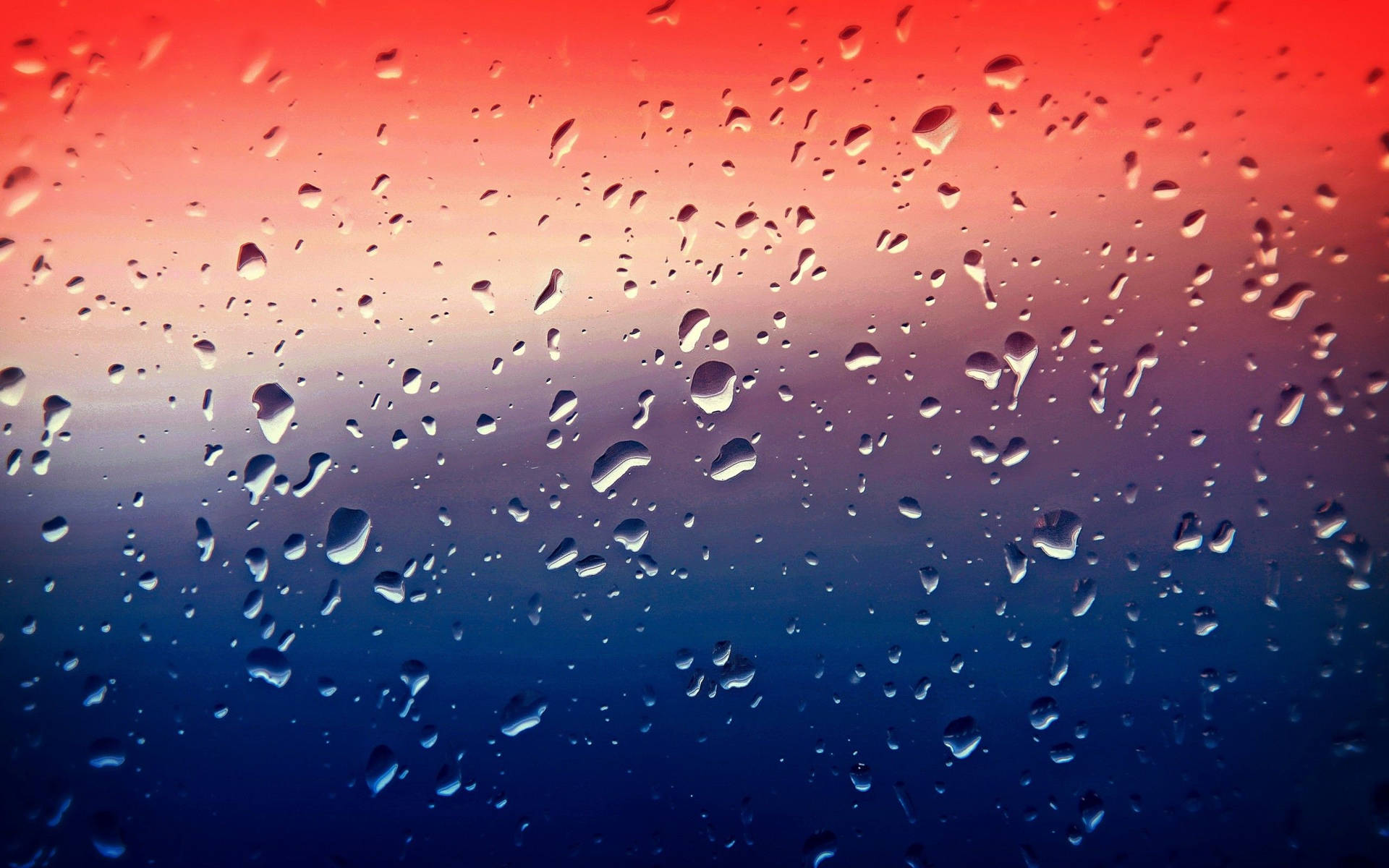 Best 4k Uhd Water Droplets