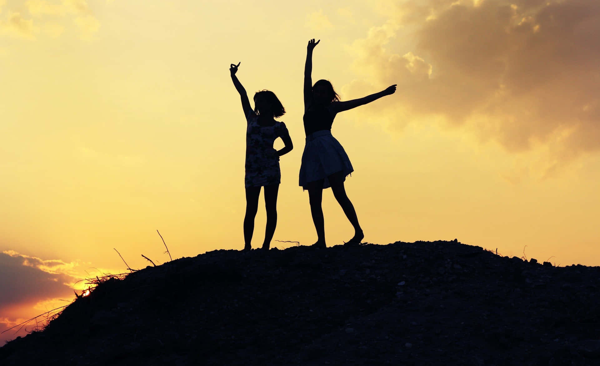 Best Friend Aesthetic Silhouette Photography Background