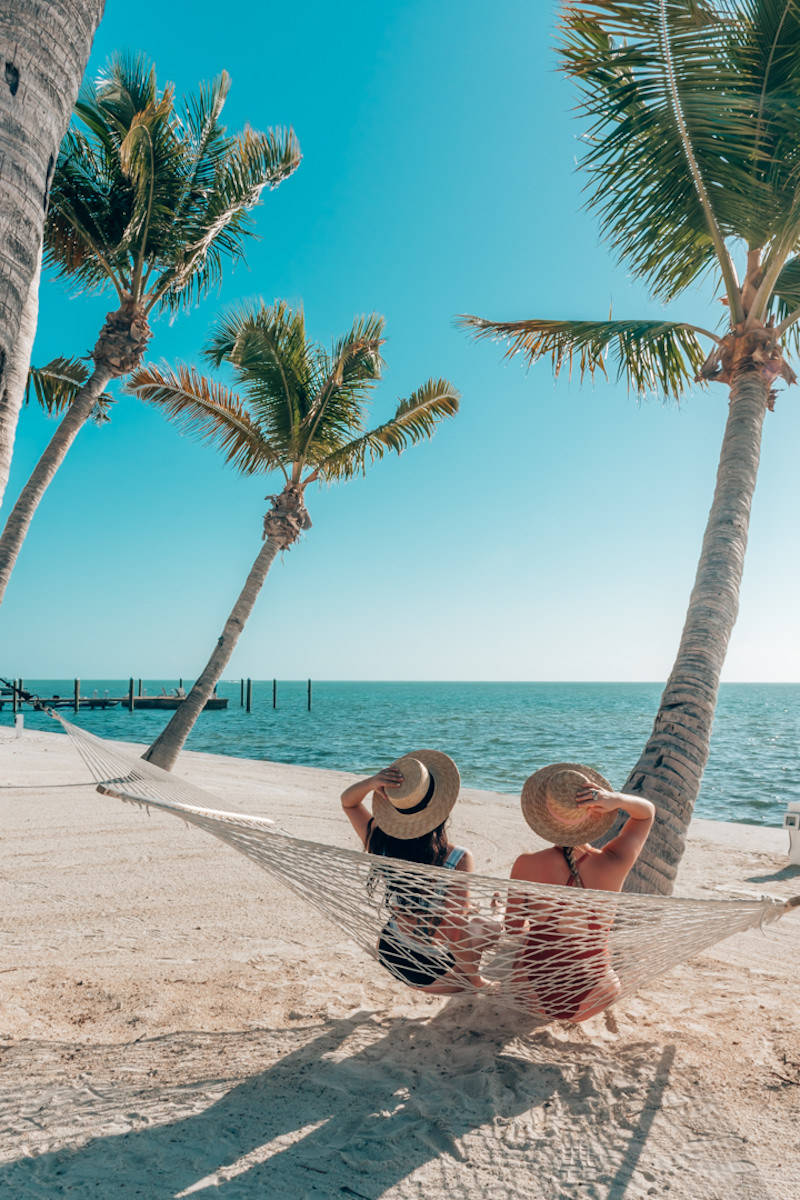 Best Friends In Florida Background