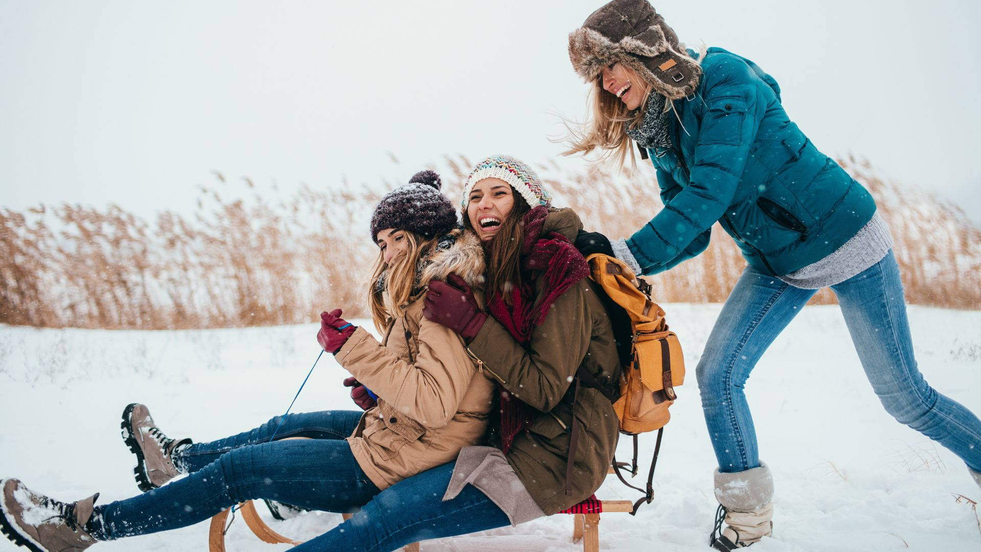 Best Friends Plays Sledding