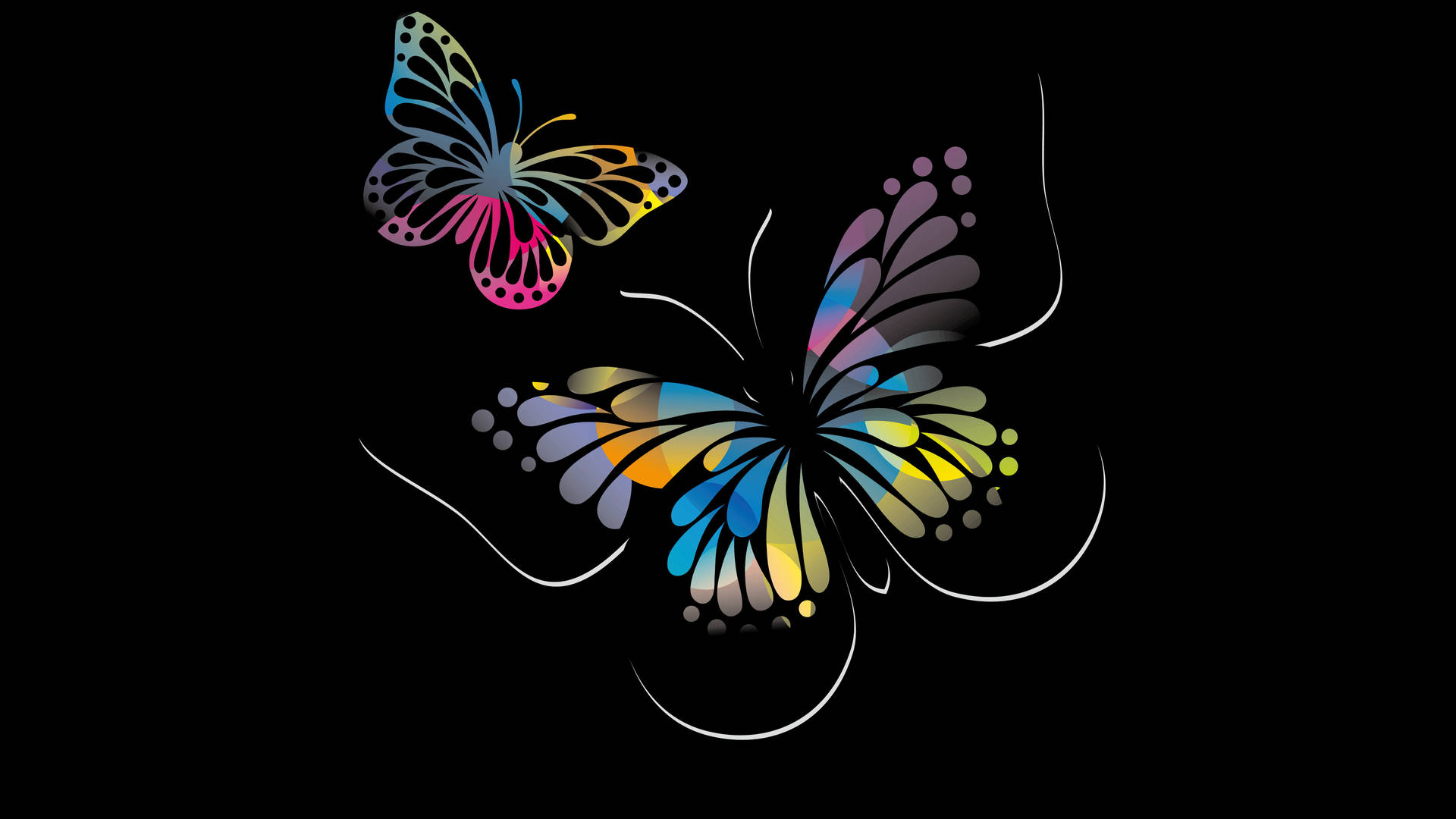Best Oled Colorful Butterflies