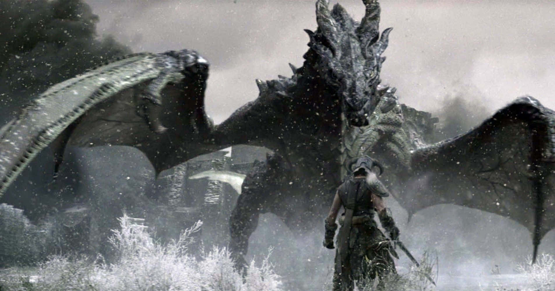 Best Skyrim Dragonborn And Dragon Alduin Background